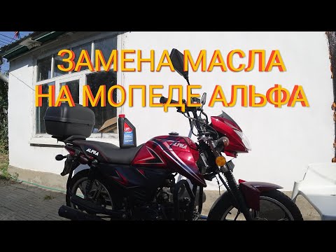 Видео: Мопед Альфа 125см³ (модель Alpha ZS50-C) | ЗАМЕНА МОТОРНОГО МАСЛА | ВЛОГ 09/2020