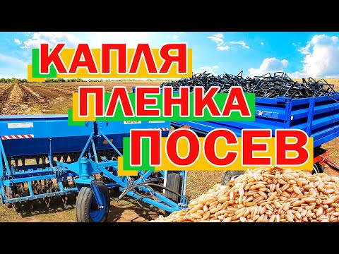 Видео: Капля пленка посев 16 09 21