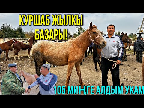 Видео: БАЗАРДЫН КУЗИРДЕРИ КЫЗЫТТЫ 🤯 #байтв