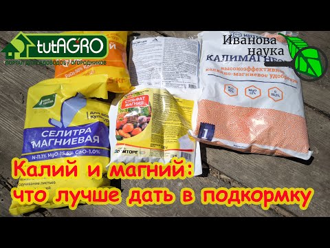 Видео: ТОМАТАМ В ПОДКОРМКУ ДАЮ ТОЛЬКО ЭТО! Калий и магний для томатов: что выбрать для подкормки.