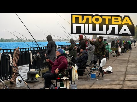 Видео: СПОРИ за ТОЧКУ🔥 Плотва ЙДЕ, всі ПЛУТАЮТЬСЯ‼️