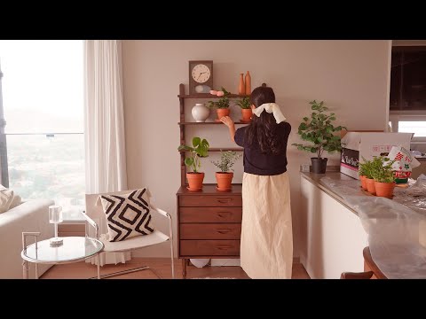 Видео: Дерево и растения🌿 | Мой тихий маленький дом похож на кафе