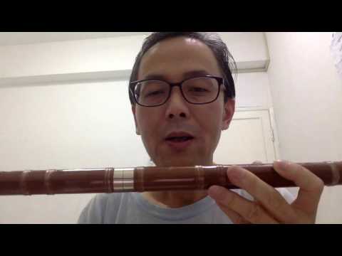 Видео: 5. Как играть на дицзы: извлечение звука