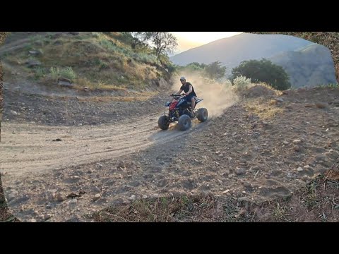 Видео: КУХУ ПУШТАХОИ НОРАК