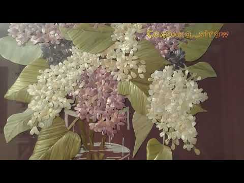 Видео: Презентация картин из соломки.
