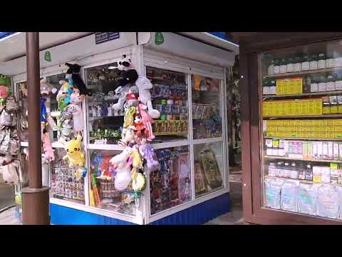 Видео: ГОРЯЧИЙ КЛЮЧ.ЦВЕТУТ САКУРА И МАГНОЛИИ