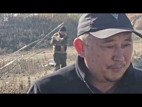 Видео: Таштандыга толгон Ала-арча 3 качан онолобуз туугандар