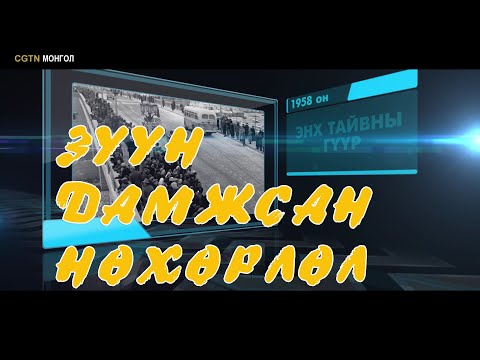 Видео: Зуун дамжсан нөхөрлөл