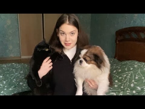 Видео: Бросить животных ради удобства. Новых заведешь!