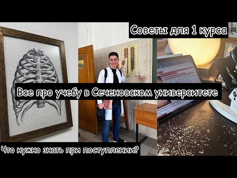 Видео: Все, что нужно знать ПЕРВОКУРСНИКУ при поступлении в Сеченовский университет |часть 1