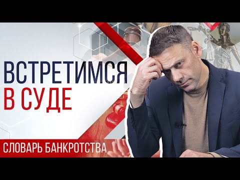 Видео: Судебное заседание при банкротстве физического лица