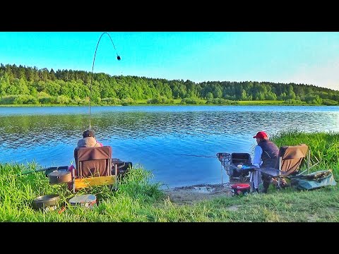 Видео: Выезд на Волгу в Верховье Реки. Рыбалка и Отдых на Природе от Городской Суеты.