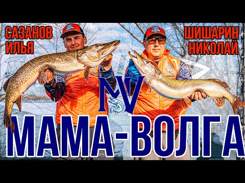 Видео: Рыболовный Турнир от ПЕРВОГО ЛИЦА - Трофейная РЫБАЛКА на Волге | USAL 2025