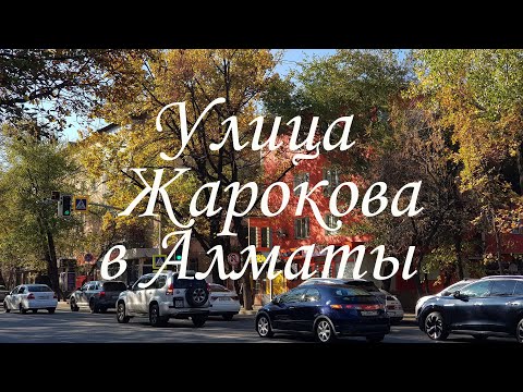 Видео: Прогулка по улице Жарокова в Алматы. 18.10.2024.