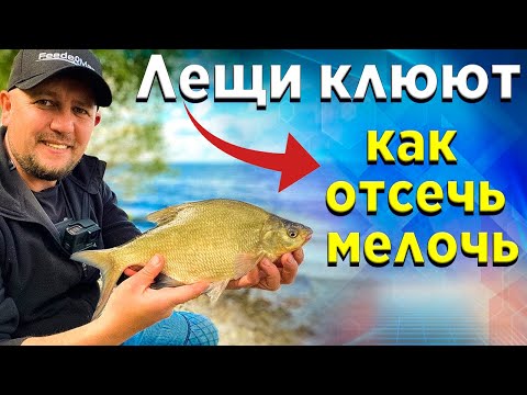 Видео: Лещ на ФИДЕР! КАК ИЗБАВИТСЯ ОТ МЕЛКОЙ РЫБЫ! Топ 5 полезных советов.