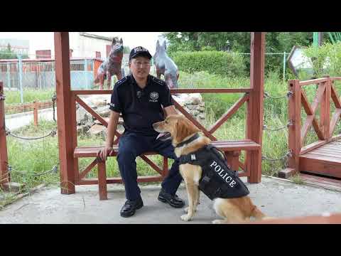 Видео: Цагдаагийн байгууллагын түүхийн нэг хэсэг болж 3 үеэрээ чимээгүй гавьяа байгуулж буй баатрууд...