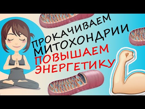 Видео: Как Зарядить Митохондрии и Повысить Энергию Организма