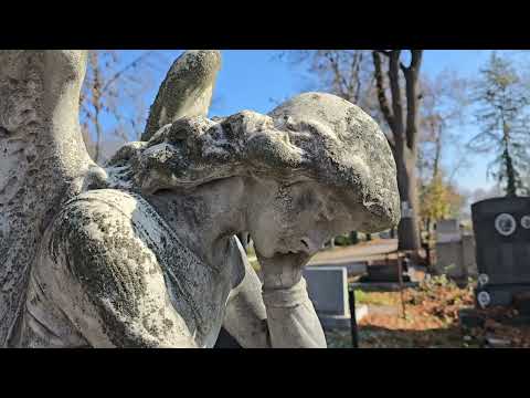 Видео: Центральное кладбище Софии (Централни софийски гробища), часть первая