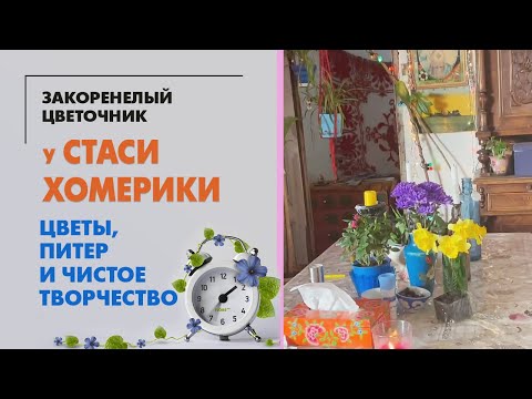 Видео: В гостях у Стаси Хомерики-Грановской | Цветы, Питер и чистое творчество