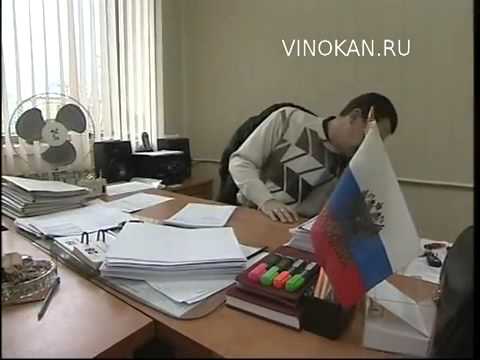 Видео: Один рабочий день Владимира Виноградова Третья серия