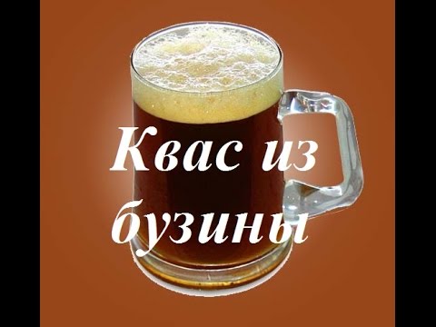 Видео: Квас.  Kvass. Квас из бузины. Как сделать квас из бузины?! #Квас