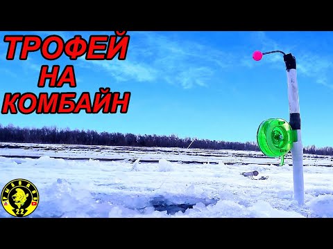 Видео: ТРОФЕЙНЫЙ ЛЕЩ! ЗИМНЯЯ РЫБАЛКА НА КОМБАЙНЫ.