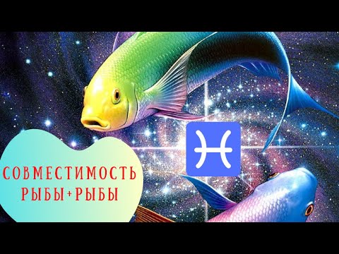 Видео: Совместимость знаков зодиака: Рыбы + Рыбы