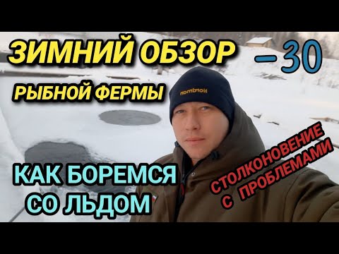 Видео: ОБЗОР ФОРЕЛЕВОГО ПРУДА В ЗИМНЕЕ ВРЕМЯ, КАК БОРЕМСЯ С МОРОЗАМИ, С КАКИМИ ПРОБЛЕМАМИ МЫ СТОЛКНУЛИСЬ!!!
