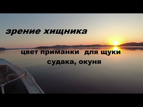 Видео: Как видят хищники  Цвет воблера для щуки, судака, форели