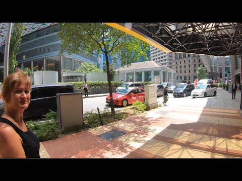 Видео: В СИНГАПУР🇸🇬из ТАЙЛАНДА.КАК ТУТ СЕЙЧАС?ГУЛЯЕМ по ГОРОДУ ОГРОМНЫЕ НЕБОСКРЕБЫ и ГРЯЗИЩА ПОСРЕДИ ШИКА