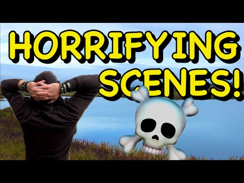 Видео: БОЛЕЕ 50 МЕРТВЫХ ПТИЦ!... ЛЕБЕДИ, ГУСИ, ЧАЙКИ... ПТИЧИЙ ГРИПП 2025