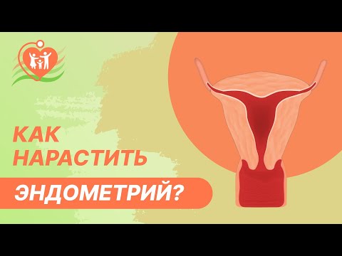 Видео: 📝  Тонкий эндометрий. Как нарастить эндометрий?