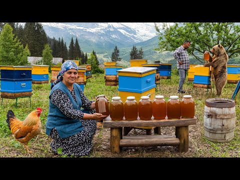 Видео: 🍯 Золотой Нектар: Сбор Меда И Приготовление Домашних Сладостей 🐝