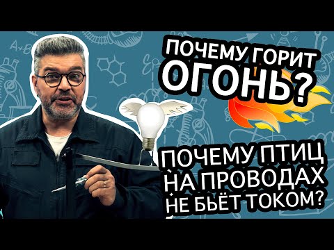 Видео: Почему птиц на проводах не бьёт током? / Проверено наукой