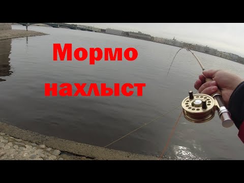 Видео: #322 Мормо нахлыст 2