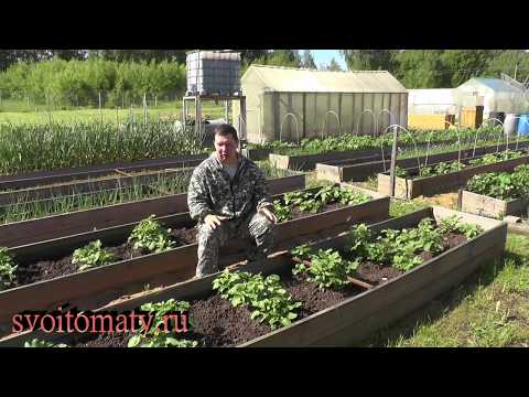 Видео: Как не наделать ошибок в природном земледелии