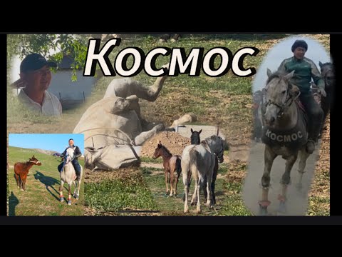 Видео: Эдил акенин Космосу. Бурул Бээни караттык