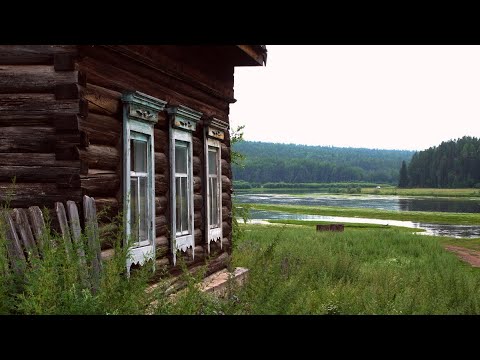 Видео: Моя скромная жизнь в Тайге. Медведи, глухари, огород. Варенье из Шишек.