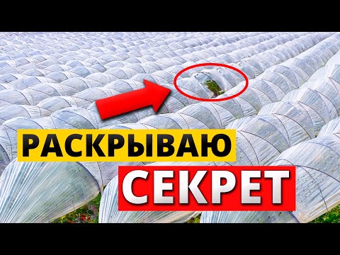 Видео: Это САМЫЙ ДЕШЕВЫЙ способ получить РАННЮЮ ягоду!