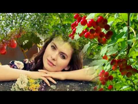 Видео: Горит калины цвет  Авторы неизвестны спела    Г Погорельская
