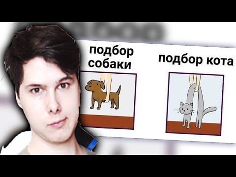 Видео: Лютые приколы. Поднять кота... - РЕАКЦИЯ НА МАКС МАКСИМОВ