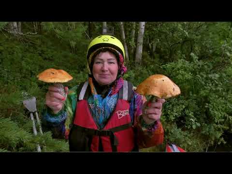 Видео: 8 ЧАСТЬ  ПОРОГ СОБАЧИЙ