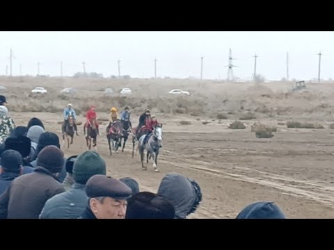 Видео: 04-12-2024 Шоманай Қарабас аға сүндет той