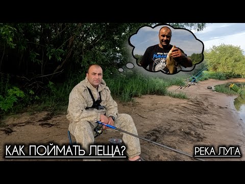 Видео: Есть ли рыба в реке Луга? / Ловим леща на донки / Удилища Nautilus
