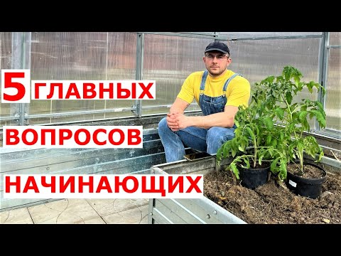 Видео: Ошибки начинающих при посадке помидоров в теплицу