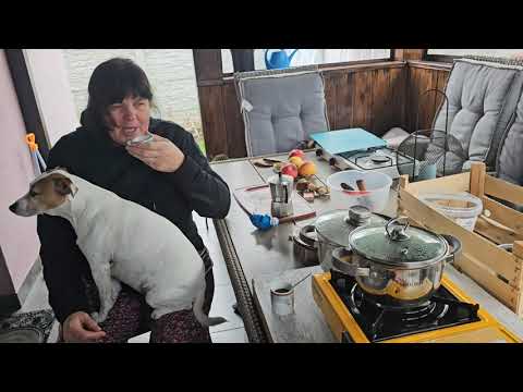 Видео: На одном баллончике приготовили всё. ☕️