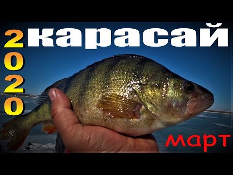 Видео: оз.КАРАСАЙ.ОКУНЬ+ЩУРАГАЙКА...