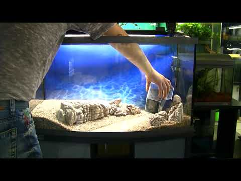 Видео: АквариумАрт.  100 литровый аквариум по мотивам картины Левитана