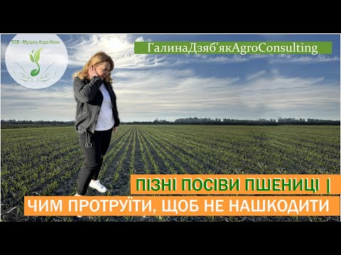 Видео: Обираємо триазоли,  даємо фосфор, розвиваємо кореневу систему