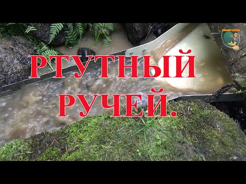 Видео: Золото во ртути. Ртутный ручей.